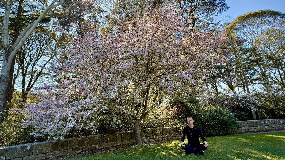 10-Day Vipassana Retreat: My Experience and What to Know