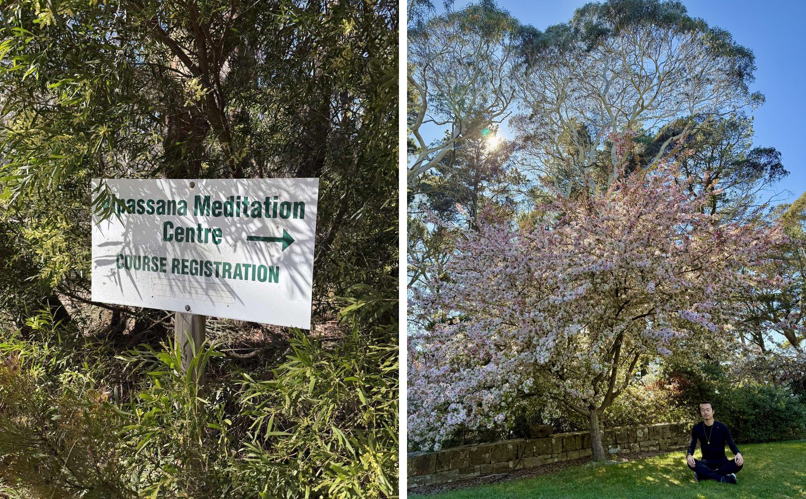 Two photos side by side. Left: a white roadside sign reading Vipassana Meditation Centre, Course Registration, among green bushland. Right: Freeman Fung meditating cross-legged on the lawn beneath a crab apple tree in pink and white blossom