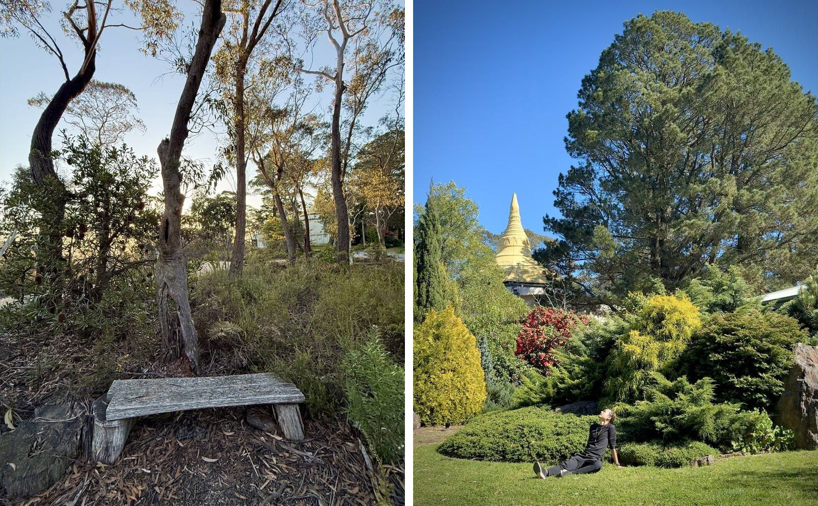 Two photos side by side. Left: a weathered wooden bench beneath gum trees in the late afternoon light. Right: Freeman Fung sitting on the lawn below tall pines, with the golden stupa of the Dhamma Bhumi centre behind him