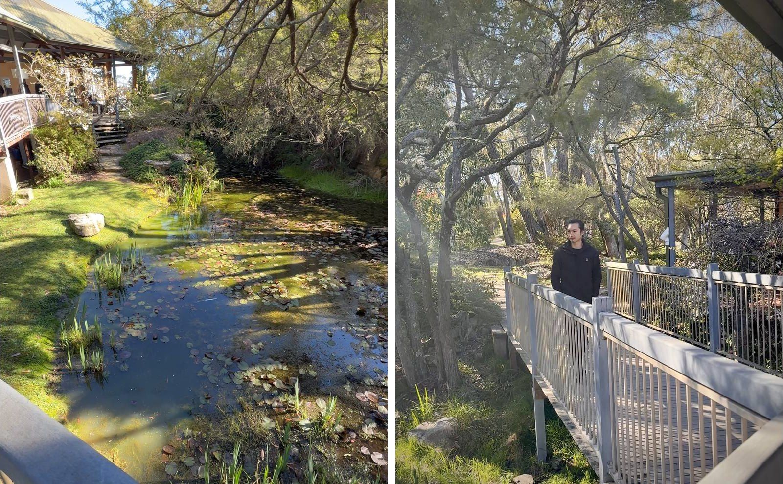 Two photos side by side. Left: a lily pond in the Dhamma Bhumi garden, below a timber building and steps. Right: Freeman Fung standing on a railed walkway among gum trees